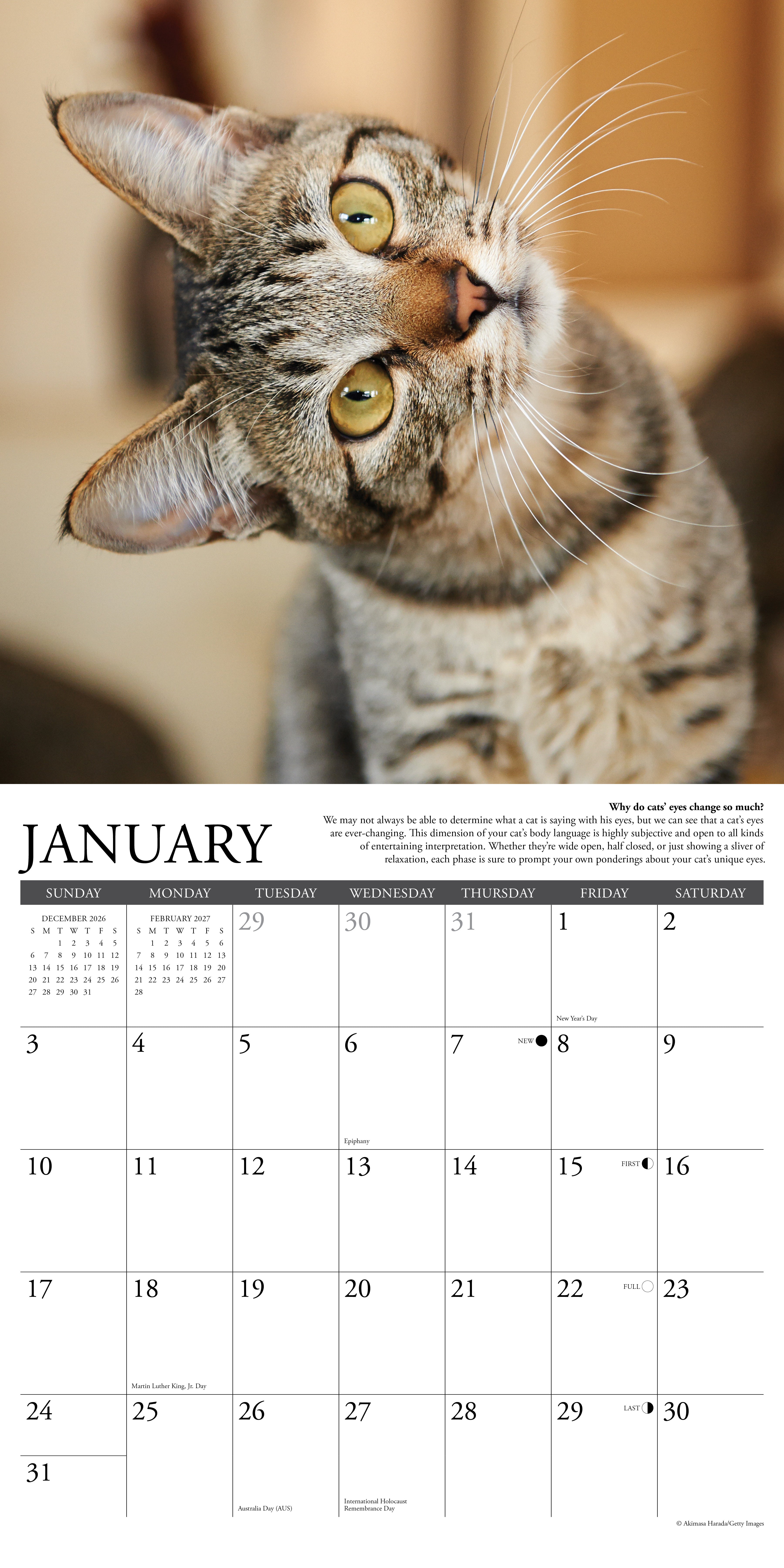 Willow Creek Press, Why Cats Do That 2027 Wall Calendar