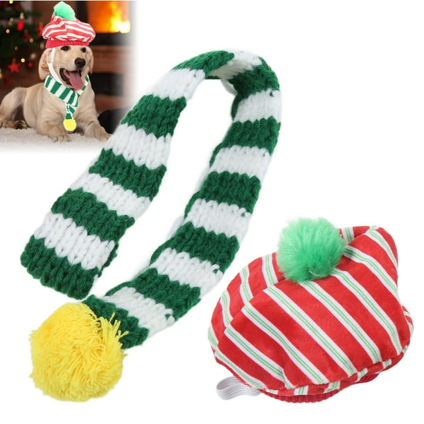 Dog hat and scarf set online