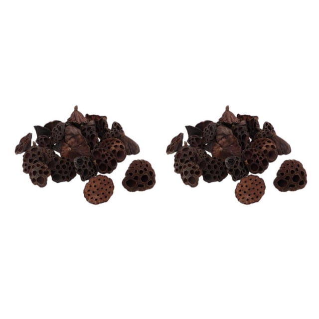 Kearding 30pcs Natural Dried lotus pod Flowers Fruit for decor crafts DIY Tipo 1 2piezas