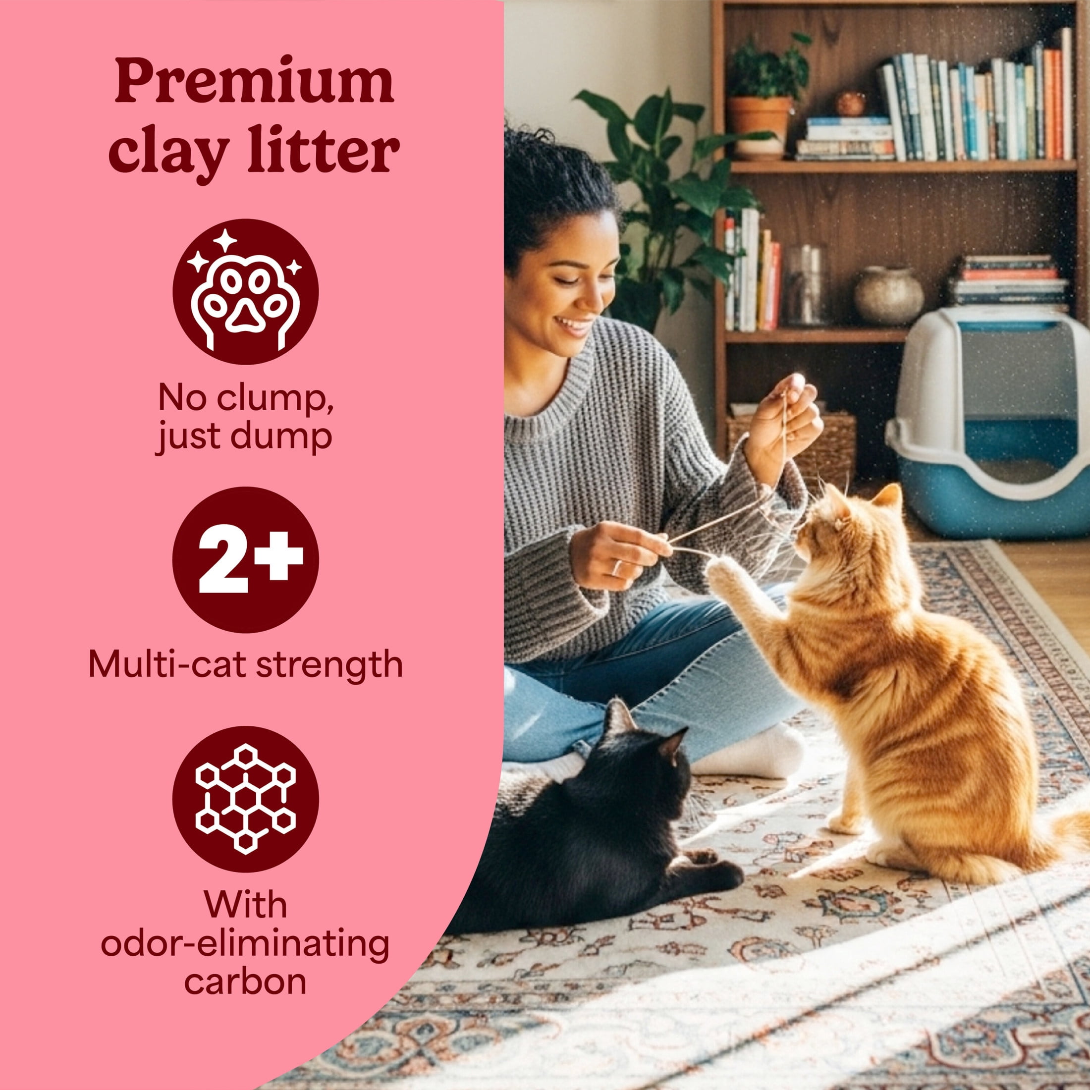(2 pack) Fresh Step Non-Clumping Multi-Cat Premium Clay Cat Litter, Febreze Freshness Scent, 35 lb Bag