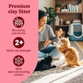 thumbnail image 6 of Fresh Step Non Clumping Cat Litter With Febreze Freshness, 14 lb. Bag, 6 of 13