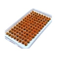 thumbnail image 2 of jifeng Artificial DIY Miniature Flower Cluster Grass Tufts Diorama Layout Scenery Model Orange, 2 of 9