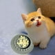 thumbnail image 4 of Comedero Lento para Mascotas - Antideslizante, Plástico - para Gatos/Perros, Promueve una Alimentación Lenta, Minimiza los Desperdicios, Apto para Lavavajillas, 4 of 4