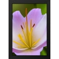 thumbnail image 2 of Stephen Chambers 17x24 Black Modern Wood Framed Wall Art Titled - Flower12, 2 of 6