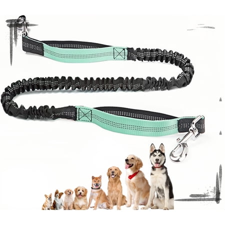 Dog Leash Hands Free Dog Leash with Zipper Pouch Reflective Design for Outdoor and Daily Walks for Medium and Large Dog (pet leash-Lake Blue)