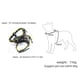 thumbnail image 3 of Spiked Studded Leather Puppy Dog Harness Vest for Small Breeds, 3 of 5