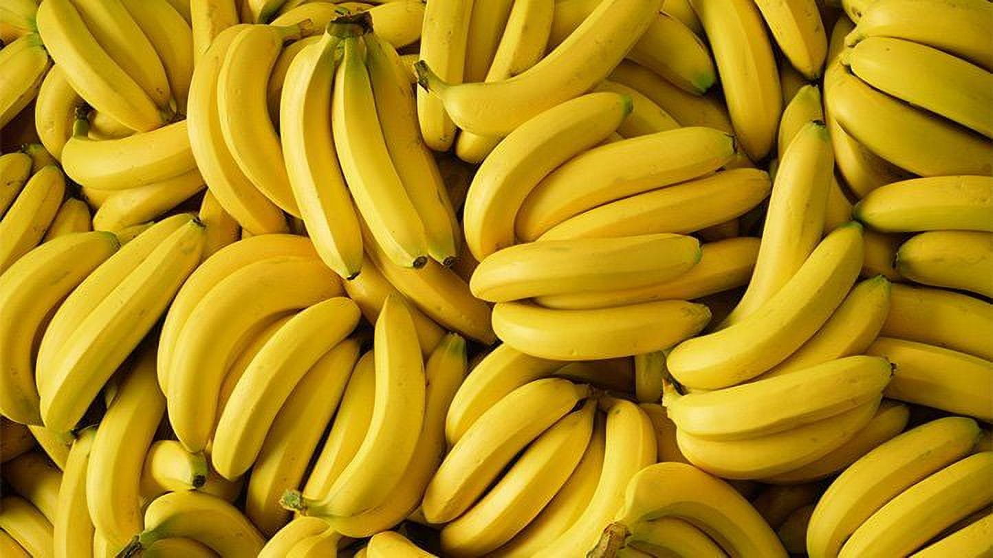  Fresh Organic Bananas Approximately 3 Lbs 1 Bunch of 6-9 Bananas  (Fresh Premium Organic Bananas 3 Lb 1 Bunch) : Grocery & Gourmet Food
