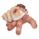 thumbnail image 3 of Decoración del hogar, adornos de resina para dedos de concha, escultura de dedo de concha, adorno de resina, rendimiento finamente afinado Jadeshay A, 3 of 8