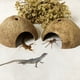 thumbnail image 4 of Hábitat para Reptiles, Cueva de Cáscara de Natural para Lagartijas, Arañas Animales Pequeños., 4 of 6