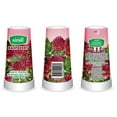 thumbnail image 1 of airall Framboise 6oz/170g, 1 of 1