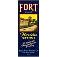 thumbnail image 3 of Anonymous 12x24 Black Modern Framed Museum Art Print Titled - Fort Brand Citrus Label (1930-1950), 3 of 5