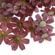 thumbnail image 3 of 100 Unidades Cabezas de Flores Artificiales Decoración de Rojo oscuro, 3 of 9