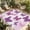 Light Pink Dark Pink Light Purple, variant on Indoor Outdoor Area Rugs,Retro Black Gold Marble Texture Washable Patio Rug Non-slip Quick Dry Camping Rugs,Abstract Cracks Art Floor Carpet for Porch Deck Backyard RV Decor,4x6ft