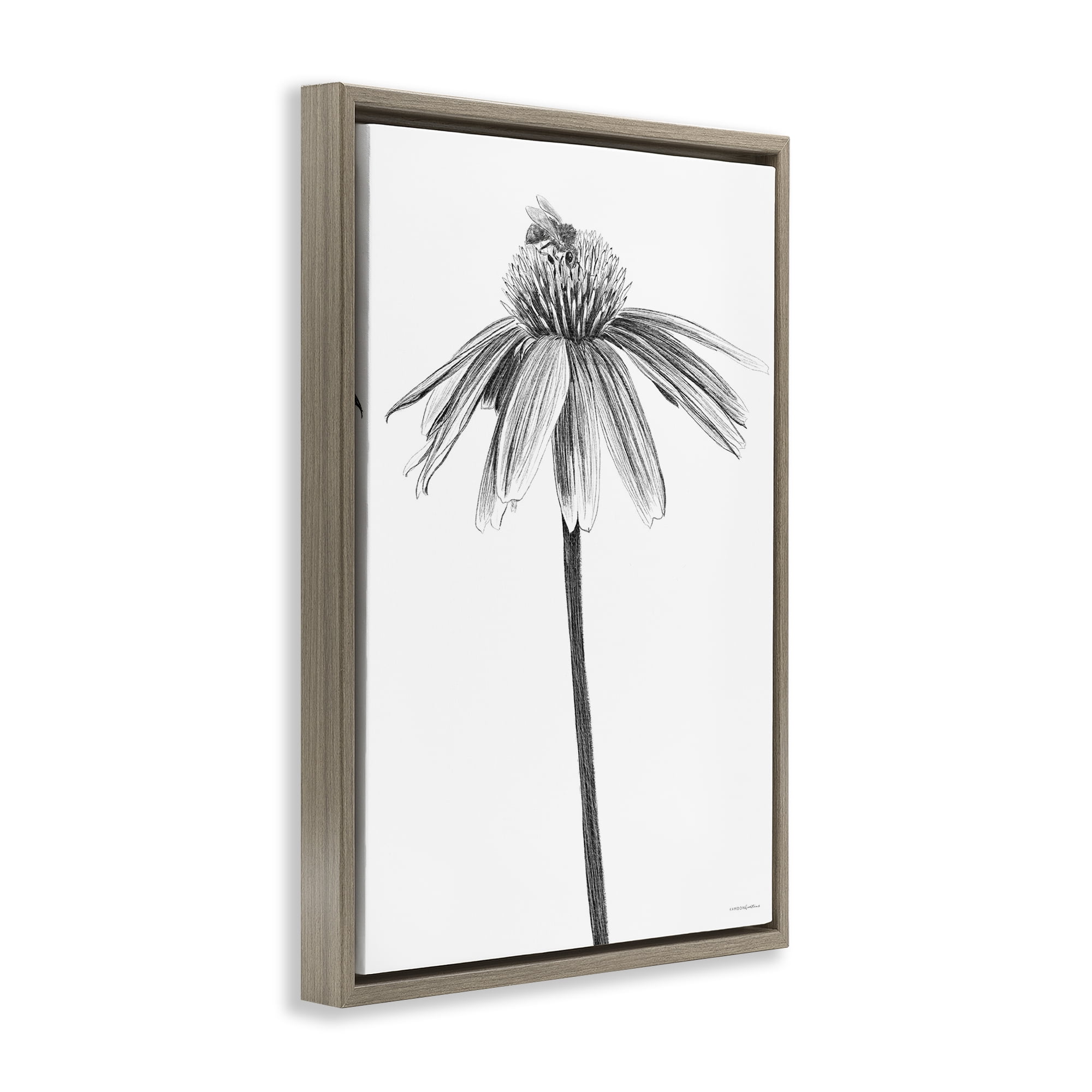 Stupell Industries Simple Daisy Sprig Botanical & Floral Drawing Brown Floater Framed Art Print Wall Art, 17 x 25