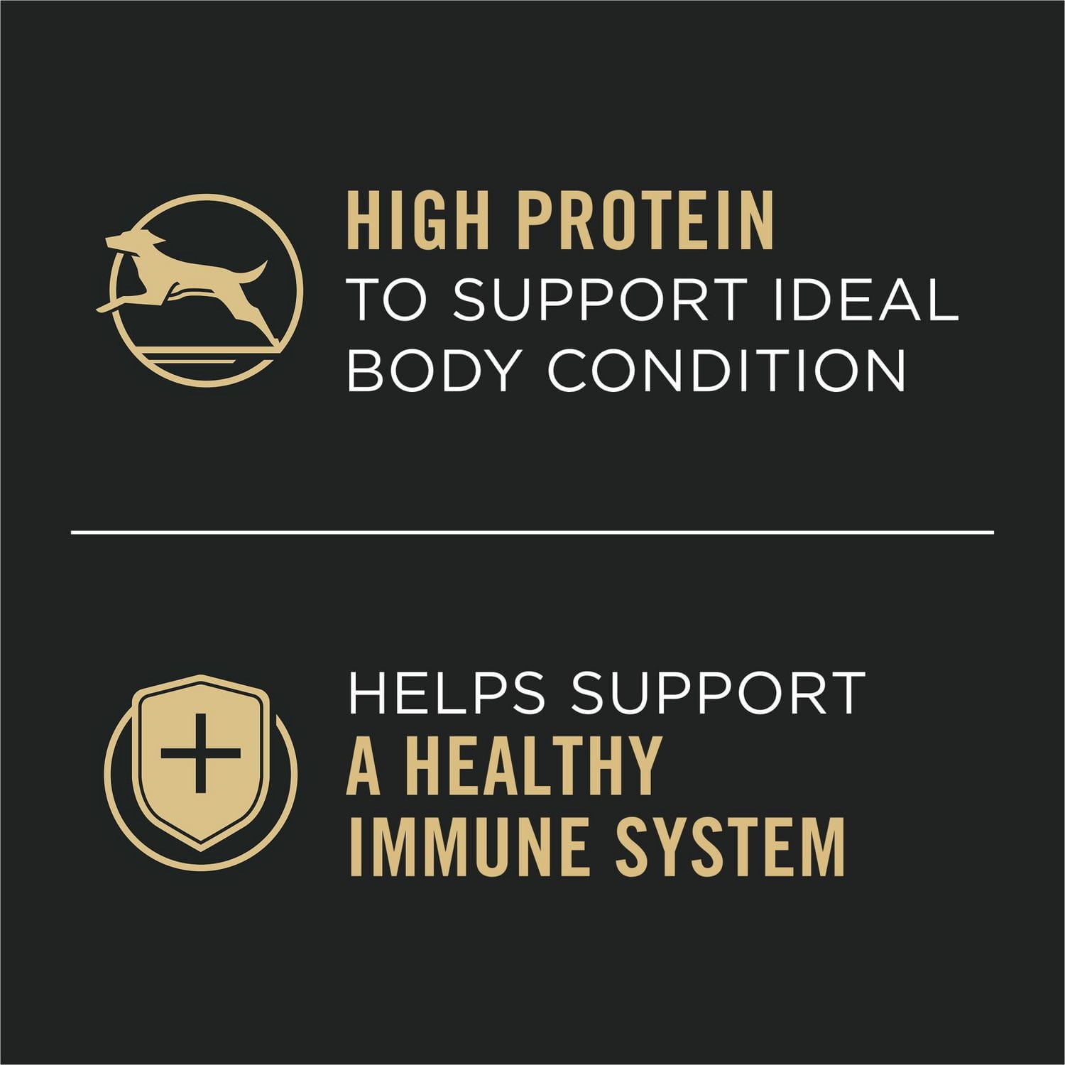 Purina Pro Plan Complete Essentials Entrée de Dinde et de Légumes Tranches en Sauce, Nourriture Humide pour Chiens 368 g