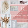 thumbnail image 2 of GoXteam 80 Pcs Pampas Grass for Boho Home Room Decor, 17" Neutral Dried Pompas Flowers for Western Modern Bedroom Table Bathroom Wedding Baby Shower Décor, 2 of 7
