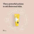 thumbnail image 5 of First Honey Manuka Honey Burn Salve with Aloe Vera, 100% Medical Grade Burn Cream, 3.3 oz, 5 of 7