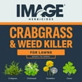 thumbnail image 4 of Image Lawn Weed & Crabgrass Killer Herbicide, 32 oz. Ready-to-Spray 1 pack, 4 of 17