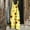 Yellow, variant on Sakmal Animal Print Casual Jumpsuits for Women Cute Bee Adjustable Strap Wide Leg Overalls Yellow Long Scoop Neck Sleeveless Pants for Women