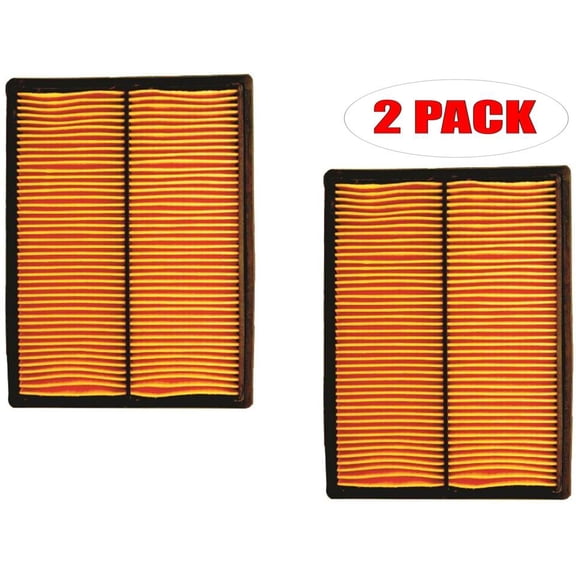 Oregon 30-436 (2 Pack) Air Filter Replaces Homelite 17210-ZJ1-842, 17210-ZJ1-841