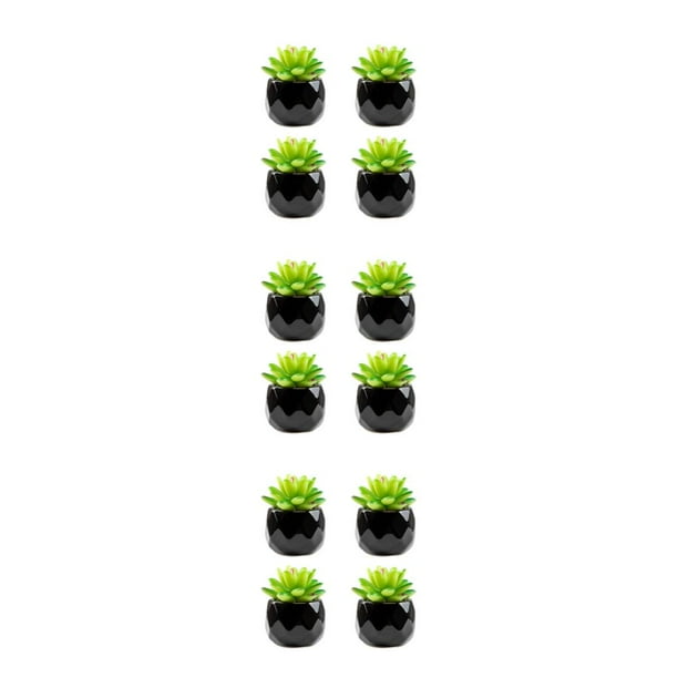 Advancent 4x Planta Artificial Ecológica Elección Hermosa Y Sostenible Durabilidad Suculentas Baoshilian Type1 NO1