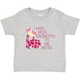 thumbnail image 3 of Inktastic I Have Been Promoted to Big Sister Pink Girls Baby T-Shirt, 3 of 5