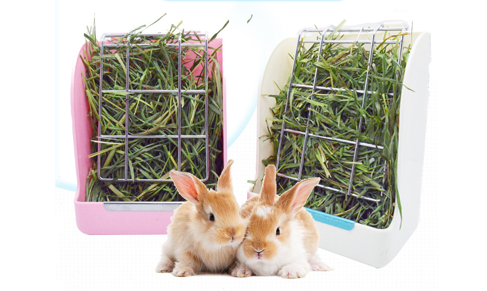 rabbit feeder walmart