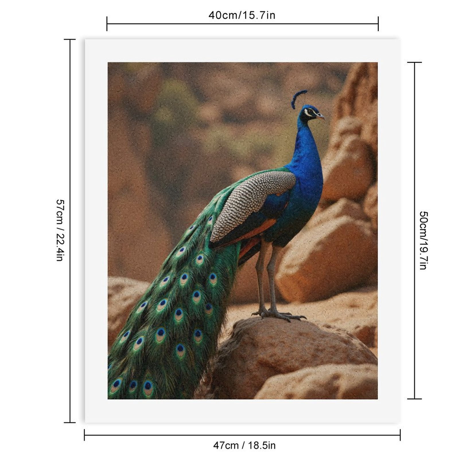 Paint By Numbers Kit for Adults Beginner - Majestic Bird Vibrant Feathers Rocks DIY Canvas Painting Kits for Adults, Frameless Paint By Number for Adults for Home Wall Decor 16x20 Inch