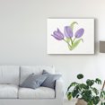 thumbnail image 3 of Trademark Fine Art 'Easter Blessing Flowers II' Canvas Art by Kathleen Parr McKenna, 3 of 4