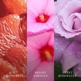 thumbnail image 3 of WoodWick Lush Pomelo Medium Hourglass Candle, 3 of 8