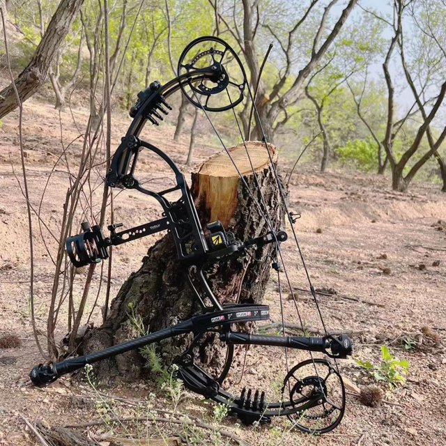 AMEYXGS Archery TUOLU BURNING Archery Compound Bow Hunting Outdoor Dual-purpose