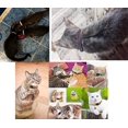 thumbnail image 3 of (12 colores) Collar reflectante para gato, Collar y campana antiestrangulamiento para gatito, Collar ajustable para gato, accesorios para gatos y mascotas, 3 of 5