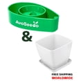 thumbnail image 3 of AvoSeedo 0763461405615 Plant Pot Set, Evergreen & White, 3 of 7