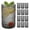 Gray, variant on  Hobnail Drinking Glasses Set of 12,12 Oz Highball Glasses Embossed Boho Water Glass Cups Kitchen Bar Tumbler Glassware Set for Whiskey, Beer, Juice, Milk and Various Mixed Drinks 