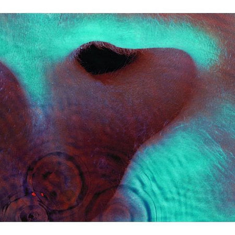 Pink Floyd - Meddle - Music & Performance - CD - Walmart.com