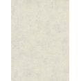 thumbnail image 1 of MODENA - Rouleau de Papier Peint Classique Floral Élégant Crème Légère, 1 of 1