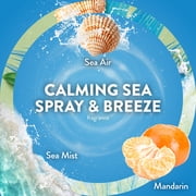 Air Wick Plug-In Scented Oil Warmer Air Freshener Refills, Calming Sea Spray Breeze, 2 Count