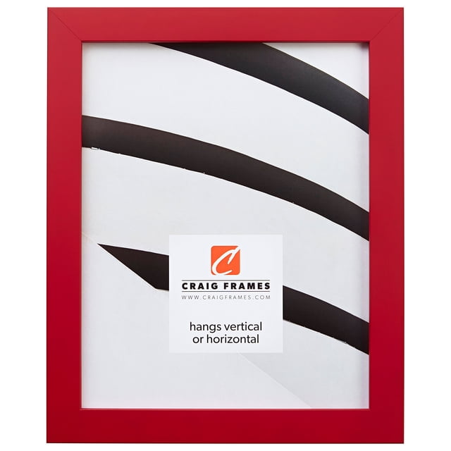 Craig Frames Confetti Modern Red Picture Frame 18 x 24 Inch