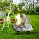 thumbnail image 5 of Hogar y jardín, Decoración del hogar, Decoración de patio Estaca de jardín Adornos de enchufe de tierra de acrílico impermeable Enchufe de piso de acrílico, 5 of 6
