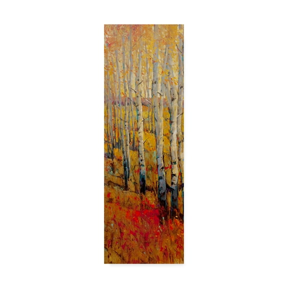 Trademark Fine Art 'Vivid Birch Forest I' Canvas Art by Tim OToole
