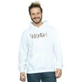 thumbnail image 2 of Looney Tunes Mens Wile E Coyote Colour Code Hoodie, 2 of 3