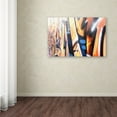 thumbnail image 3 of Trademark Fine Art "Graffiti" Canvas Art by Yale Gurney, 3 of 3