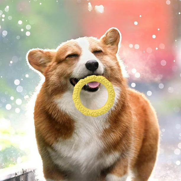 Anillos interactivos de entrenamiento para perros | Juguetes anti-mordiscos para aliviar la tensión | Juego de rompecabezas de plástico resistente a las mordeduras para estimulación mental y a
