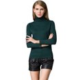 thumbnail image 1 of Moda de invierno de las mujeres suéter de punto de la tortuga cuello de manga larga Ribbed Knitted P Abanopi Verde/S, 1 of 7