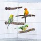 thumbnail image 5 of 4 Pieces Wooden Bird Cage Branches, Natural Wood Bird Perches, Parakeet Stand Toy, Wooden Stand for Parrot Bird Cage for Parrots Budgies Cockatiels, 5 of 5