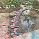 thumbnail image 5 of Eigraketly Path Maker Pavimento manual Camino de cemento Irregular Reutilizable Vertical Sellos de hormigón Inicio Patio Jardín Césped Caminos Jardín y Patio Eigraketly TO002371-00, 5 of 6
