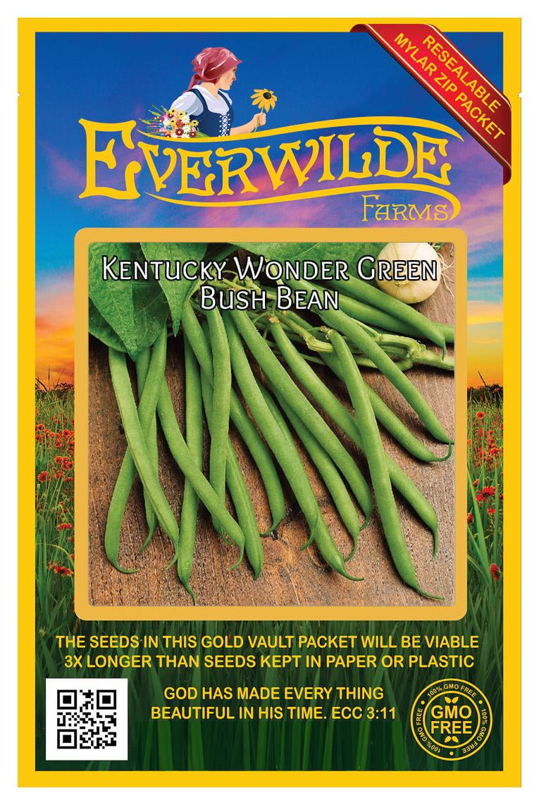 Everwilde Farms 50 Kentucky Wonder Green Bush Bean Seeds Gold Vault Jumbo Bulk Seed Packet