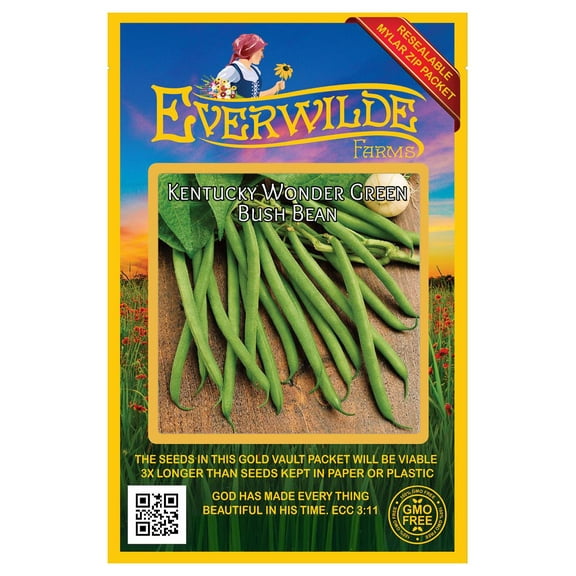 Everwilde Farms - 50 Kentucky Wonder Green Bush Bean Seeds - Gold Vault Jumbo Bulk Seed Packet