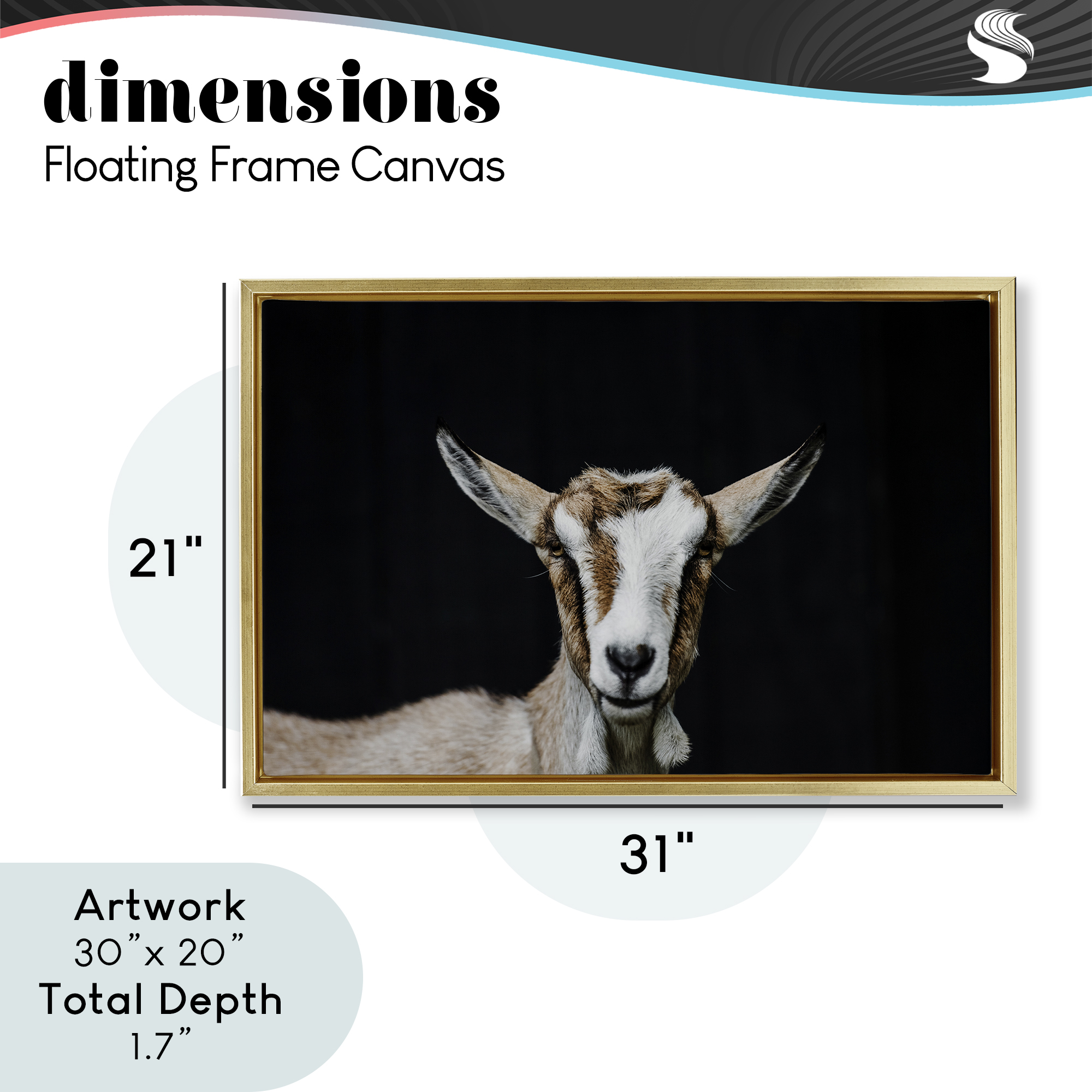 Goat Face over Black Gold Framed Floater Canvas Wall Art, design by Amy Carroll