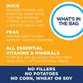 thumbnail image 6 of Natural Balance Limited Ingredient Diets Green Pea & Duck Formula Dry Cat Food, 10 Pounds, Grain Free, 6 of 12